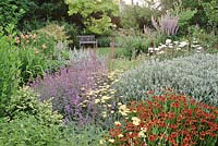 Cottage garden with achillea, helenium, salvia, hemerocallis and leucanthemum, July, Richard Ayres, Lode