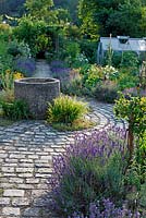 Lavendula angustifolia edges cobblestone path with granite water well, July, Stuttgart, Germany