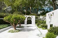 View of citrus nobilis trees, thymus vulgaris and palms - Bismarckia nobilis and Nannorrhops ritchiana arabica, planted in white marble area with water feature and walls with arabic style arches against olive hedge - Olea europaea. The Beauty of Islam. RHS Chelsea Flower Show, 2015