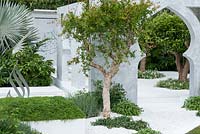 The Beauty of Islam, a garden that reflects Arabic and Islamic culture which includes  plants, Pomegranate tree - Punica granatum, Citrus auranticum trees, Myrtus communis, Thymus vulgaris and serphyllum, Chomomile. RHS Chelsea Flower Show, 2015
