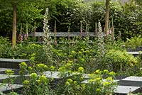 Foxgloves, echium and euphorbias planted among slate blocks - The Brewin Dolphin Garden.  Chelsea Flower Show 2015