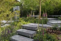 View of slate paved areas with planting of ferns, euphorbia, acquilegia, foxgloves, and daisies, yew trees - The Brewin Dolphin Garden. RHS Chelsea Flower Show, 2015