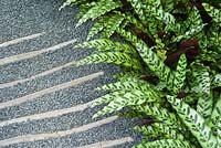 Gravel path with wooden treads edged with Calathea insignis. The Hidden Beauty of Kranji by Esmond Landscape and Uniseal. RHS Chelsea Flower Show, 2015