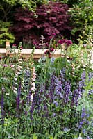 The M and G Garden - The Retreat. Digitalis purpurea 'Sutton's Apricot', Nepeta racemosa 'Walker's Low', Salvia nemorosa 'Caradonna', Cirsium rivulare 'Atropurpureum'