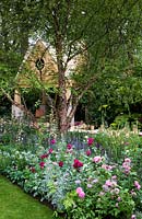 The M and G Garden - The Retreat. Betula nigra in Cottage-style border with roses. Oak building in back.