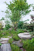 The Laurent-Perrier Chatsworth Garden. Rockery