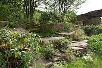 Naturalistic recreation of Trout stream and Paxton's rockery. Rock bank with viburnums.  The Laurent-Perrier Chatsworth Garden. RHS Chelsea Flower Show, 2015