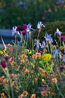 Iris sibirica, Geum 'Totally Tangerine' and  Cirsium rivulare 'Atropupureum'.  The Homebase Garden - Urban Retreat. RHS Chelsea Flower Show 2015