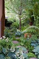 The Homebase Urban Retreat Garden in Association with Macmillan Cancer Support. Shaded area behind building with circular stepping stone path with shade planting Hosta Royal Standard, Athyrium filixfemina, Dicksonia antarctica, Blechnum spicant 