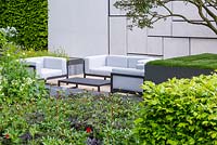 The Telegraph Garden. View of black and white geometric seating with white geometric wall behind in the tradition of artist Piet Mondrian. Plants in the foreground include peonies, clipped hornbeam - Carpinus betulus and white geraniums. Multi-stemmed Osmanthus x burkwoodii underplanted with Scleranthus uniflorus to right