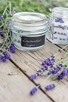 Glass jars containing Lavender Sugar made from Lavandula angustifolia 'Hidcote' flowers