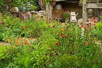 A Trugmaker's Garden.  Colourful cottage garden planting of Geum, Papaver, Euphorbia, Aquilegia, Cirsium rivulare 'Atropurpureum'. RHS Chelsea Flower Show 2015.