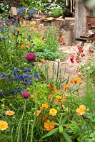 A Trugmaker's Garden, a small plot by the truggery which includes: with Geum 'Totally Tangerine' and 'Prinses Juliana', Anchosa azurea 'LoddonRoyalist,  Euphorbia grifitthii ' Fireglow' and Euphorbia x martinii and  Cirsium rivulare 'Aatropurpuream. 