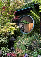 Edo no Niwa - Edo Garden. View of the house with wall covered by  Leucobryum juniperoideum and old bonsai in a circural window,  surrounded by Pinus, Enkianthus campanulatus and Acer palmatum 'Little Princess',  RHS Chelsea Flower Show, 2015