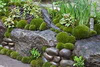 Edo no Niwa, depicting the Edo period in Japan when horticulture became open to all Japanese people - it is a garden for everyone regarless of class or wealth - RHS Chelsea Flower Show, 2015