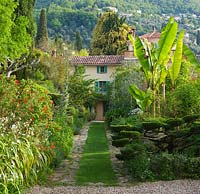 The front garden with view to villa, path, cloud topiary and bananas. Villa Fort France, Grasse, France.  