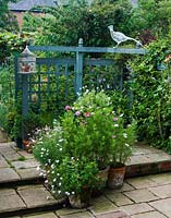 Top terrace with wire mesh bird and metalwork birdcage. Containers include cosmos, osteospermum, marguerite, petunias.