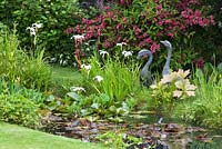 Metal ducks by pond. Iris ensata 'Alba', Rodgersia podophylla,  Menyanthes trifoliata - bogbean, Nymphaea. Weigela 'Bristol Ruby' behind