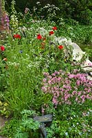 Cottage style planting of native wild flowers with Campion, Cow Parsley and Papaver rhoeas - Poppies. The Old Forge Garden for Motor Neurone Disease Association. RHS Chelsea Flower Show 2015