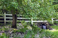 Man made waterfall and white flowering Malus - Crabapple tree underplanted with Hosta plants in backyard country garden in spring