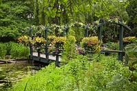 Wooden footbridge decorated with hanging baskets of yellow annual flowers over pond with Chlorophyta - Green Algae in public garden in late spring, Centre de la Nature public garden, Saint-Vincent-de-Paul, Laval, Quebec, Canada
