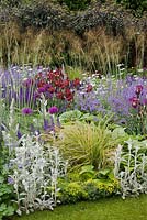 Stachys byzantina, Nepeta racemosa 'Walkerâ€™s Low', irises, Verbascum bombyciferum, Stipa gigantea in mixed summer flowerbeds 
