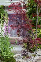 Planting of Digitalis purpurea - foxgloves and Acer palmatum - Japanese maples in pebbles and moss with circular waterfall, cascade behind. Home -  Personal Universe Garden by T's Garden Square. RHS Chelsea Flower Show 2015