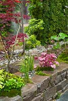 Foliage planting with Acers and Heuchera. Home - Personal Universe Garden by T's Garden Square. RHS Chelsea Flower Show, 2015