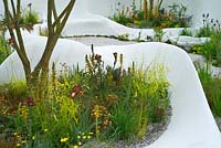 Warm planting colour palette combination of orange, red and yellow including Digitalis, Iris and Geum. Contemporary curvilinear white hard landscaping. Pure Land Foundation Garden. RHS Chelsea Flower Show 2015