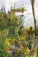 Iris 'Kent Pride' with Asphodeline lutea, Digitalis 'Illumination Apricot' and Deschampsia flexuosa 'Tatra Gold' - The Pure Land Foundation Garden, RHS Chelsea Flower Show 2015