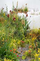 The Pure Land Foundation Garden, RHS Chelsea Flower Show 2015. Garden with flowing white walls surrounded by Iris germanica 'Kent Pride', Digitalis 'Illumination Apricot, Geum 'Lady Stratheden' Asphodeline lutea and Briza media 'Limouzi'