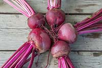 Beetroot 'Detroit Dark Red' on a wooden surface