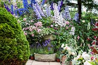 Cottage garden open for The National Gardens Scheme, filled with Delphiniums, Roses and colourful summer bedding. The Paddocks, Wendover. 
