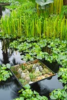 The World Vision Garden. Translucent orange rods and tropical foliage plants emerge from a dark pool with sunken mirrored boxes of cacti and grasses
