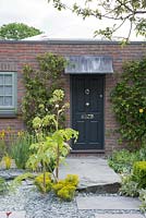 Stone path leading to a front door with Angelica archangelica - The Great Chelsea Garden Challenge.