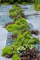 Ground cover planting allowing space to park a car, and drainage via slate gravel. Including  Sagina subulata - Irish moss, Asarum europaeum and Ajuga reptans. The  Great Chelsea Garden Challenge.    RHS Chelsea Flower Show, 2015. 
