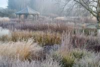 View across perennial meadow - prairie planting, on frosty morning. Planiting includes, Sesleria nitida,  Astilbe chinensis var. taquetii 'Purpurlanze' with Veronicastrum. Grasses include Deschampsia cespitosa 'Goldschleier'  and Deschampsia 'Goldtau'