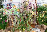 National Collection of Sir Cedric Morris Irises designed by Sarah Cook in collaboration with Howard Nurseries. Display in the Grand Marquee. Gold medal winner. RHS Chelsea Flower Show 2015