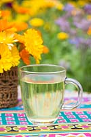 A healthy tea brewed from the petals of Calendula officinalis 'Art Shades'