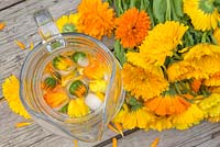 Calendula officinalis 'Art Shades' ice cubes added to a jug of water