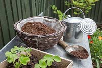 Items needed for planting up your hanging basket: Compost, Scoop, Watering Can, Strawberry plugs