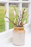 Floral display of Magnolia spring foliage in a jug, with a view to the garden