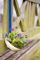 Viola odorata and moss planted in a vintage ladle
