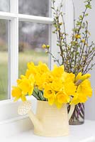 Narcissus in a cream jug accompanied with spring foliage, with a view to the garden