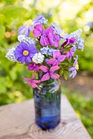 Fresh cut Lunaria annua, Muscari and Anemone in a blue vase, with a view to the garden