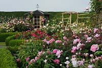 Formal rose garden 