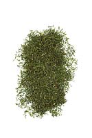 Dried, chopped leaves of Dill weed - Anethum graveolens, for culinary use and in herbal medicine 