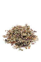 Chopped pieces of Germander or Wall germander - Teucrium chamaedrys for use in herbal medicine