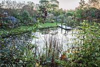 Pond with waterlilies and jetty, with beds of late flowering perennials and grasses beyond including asters and chrysanthemums. Norwell Nurseries, Norwell, Notts, UK