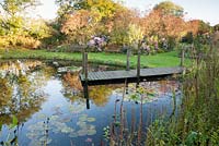 Pond with waterlilies and jetty, with beds of late flowering perennials and grasses beyond including asters and chrysanthemums. Norwell Nurseries, Norwell, Notts, UK